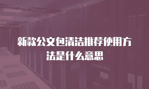 新款公文包清洁推荐使用方法是什么意思