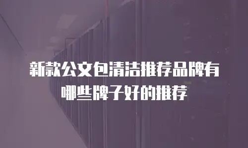 新款公文包清洁推荐品牌有哪些牌子好的推荐