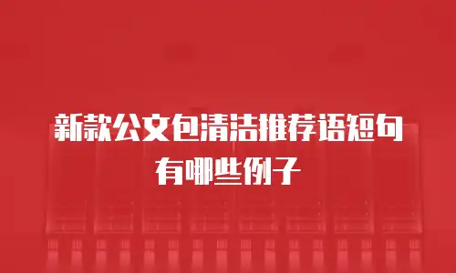 新款公文包清洁推荐语短句有哪些例子