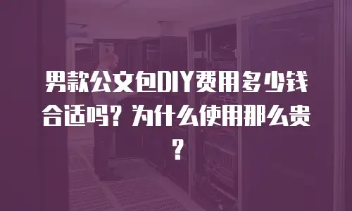 男款公文包DIY费用多少钱合适吗？为什么使用那么贵？