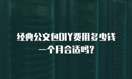 经典公文包DIY费用多少钱一个月合适吗？