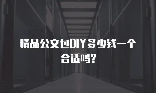 精品公文包DIY多少钱一个合适吗？