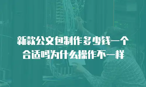 新款公文包制作多少钱一个合适吗为什么操作不一样