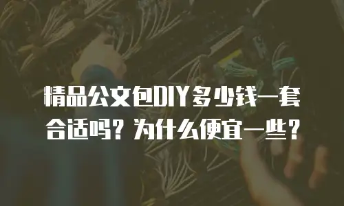 精品公文包DIY多少钱一套合适吗？为什么便宜一些？