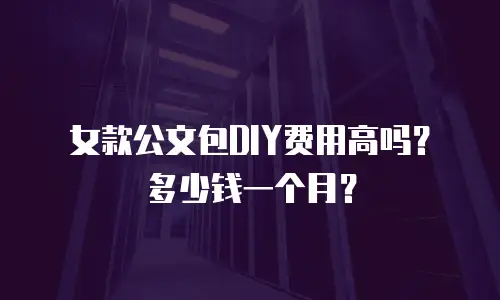 女款公文包DIY费用高吗？多少钱一个月？