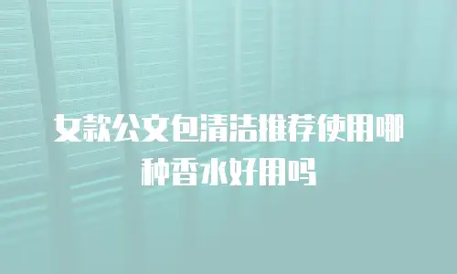女款公文包清洁推荐使用哪种香水好用吗