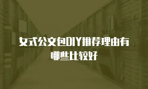 女式公文包DIY推荐理由有哪些比较好