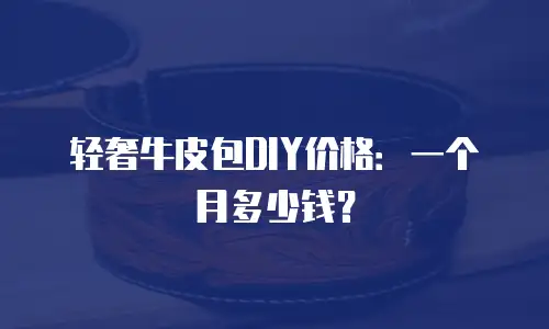 轻奢牛皮包DIY价格：一个月多少钱？