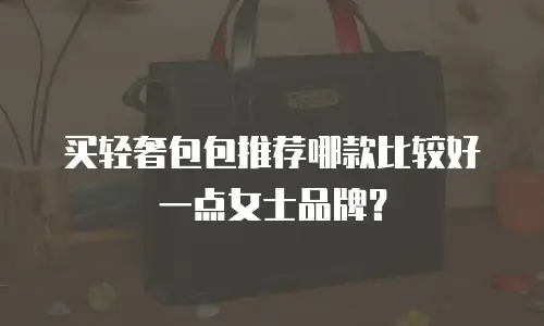 买轻奢包包推荐哪款比较好一点女士品牌？
