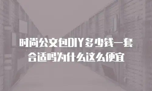时尚公文包DIY多少钱一套合适吗为什么这么便宜