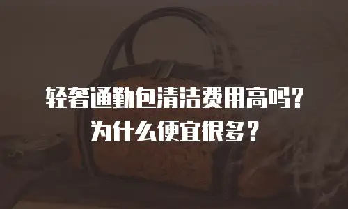 轻奢通勤包清洁费用高吗？为什么便宜很多？-钟雨佳手工包