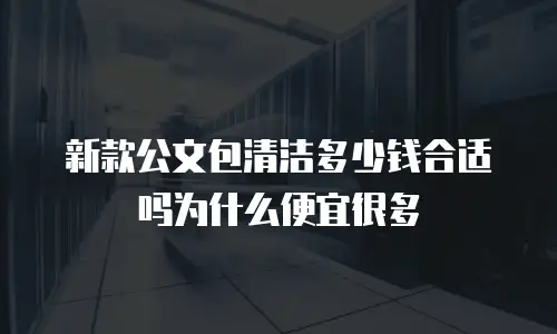 新款公文包清洁多少钱合适吗为什么便宜很多