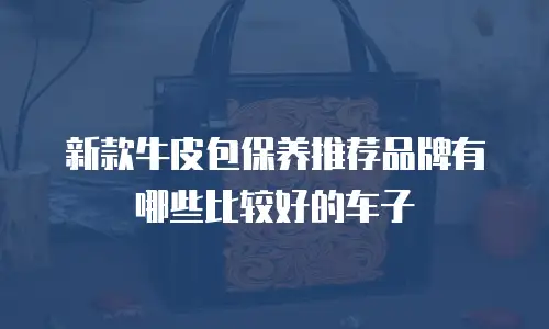 新款牛皮包保养推荐品牌有哪些比较好的车子