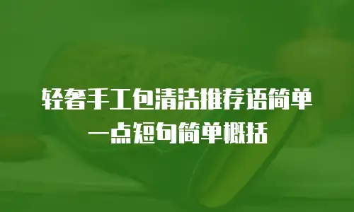 轻奢手工包清洁推荐语简单一点短句简单概括