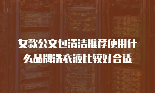 女款公文包清洁推荐使用什么品牌洗衣液比较好合适