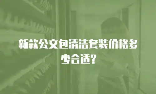 新款公文包清洁套装价格多少合适？