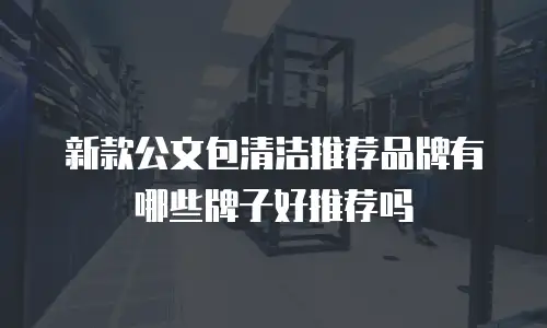 新款公文包清洁推荐品牌有哪些牌子好推荐吗