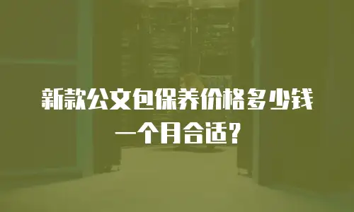 新款公文包保养价格多少钱一个月合适？