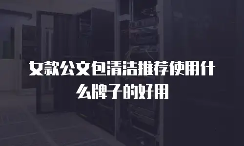 女款公文包清洁推荐使用什么牌子的好用