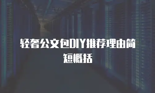 轻奢公文包DIY推荐理由简短概括