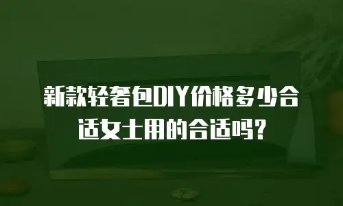 新款轻奢包DIY价格多少合适女士用的合适吗？