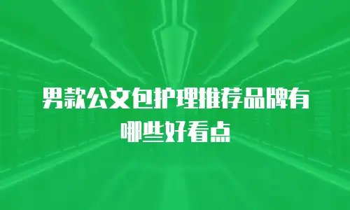 男款公文包护理推荐品牌有哪些好看点