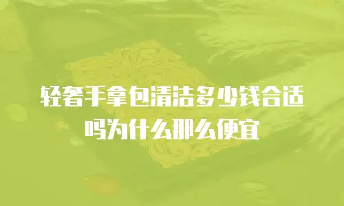 轻奢手拿包清洁多少钱合适吗为什么那么便宜