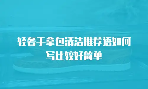 轻奢手拿包清洁推荐语如何写比较好简单