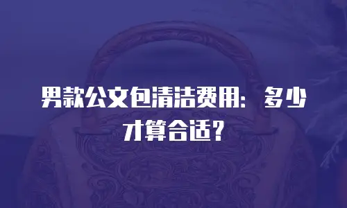 男款公文包清洁费用：多少才算合适？