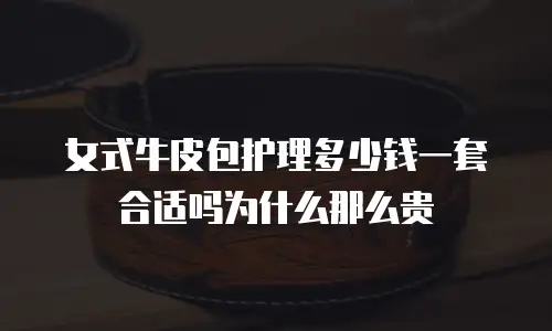 女式牛皮包护理多少钱一套合适吗为什么那么贵