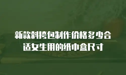 新款斜挎包制作价格多少合适女生用的纸巾盒尺寸