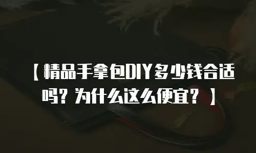 【精品手拿包DIY多少钱合适吗？为什么这么便宜？】