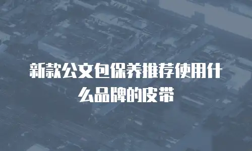 新款公文包保养推荐使用什么品牌的皮带