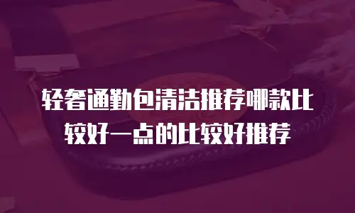 轻奢通勤包清洁推荐哪款比较好一点的比较好推荐