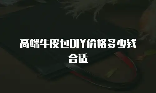 高端牛皮包DIY价格多少钱合适