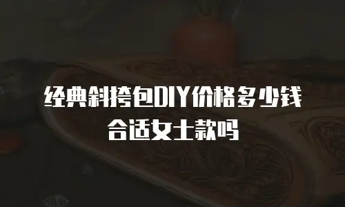 经典斜挎包DIY价格多少钱合适女士款吗