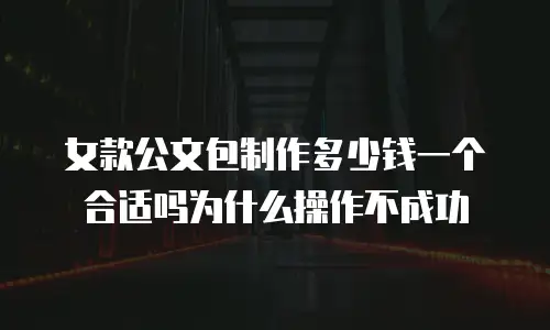女款公文包制作多少钱一个合适吗为什么操作不成功