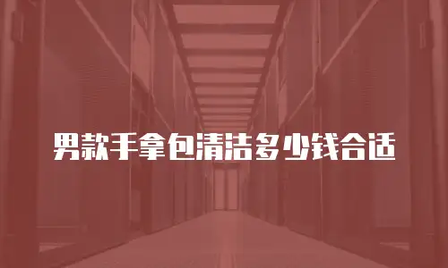 男款手拿包清洁多少钱合适