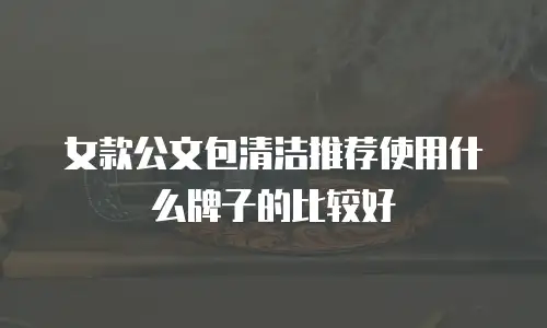 女款公文包清洁推荐使用什么牌子的比较好