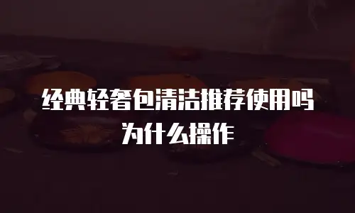 经典轻奢包清洁推荐使用吗为什么操作
