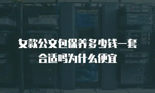 女款公文包保养多少钱一套合适吗为什么便宜