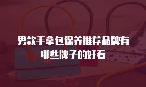 男款手拿包保养推荐品牌有哪些牌子的好看