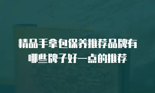 精品手拿包保养推荐品牌有哪些牌子好一点的推荐