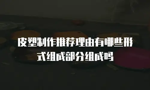 皮塑制作推荐理由有哪些形式组成部分组成吗