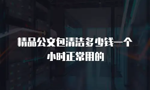 精品公文包清洁多少钱一个小时正常用的