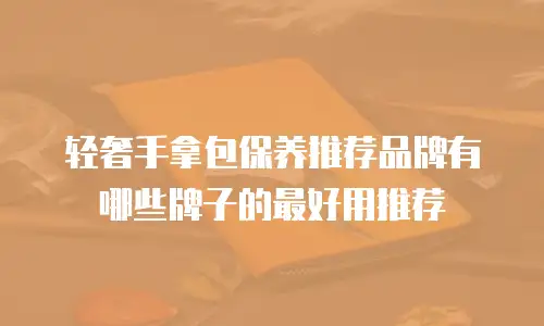 轻奢手拿包保养推荐品牌有哪些牌子的最好用推荐