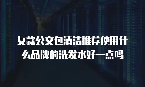 女款公文包清洁推荐使用什么品牌的洗发水好一点吗