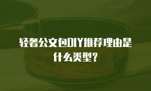 轻奢公文包DIY推荐理由是什么类型？