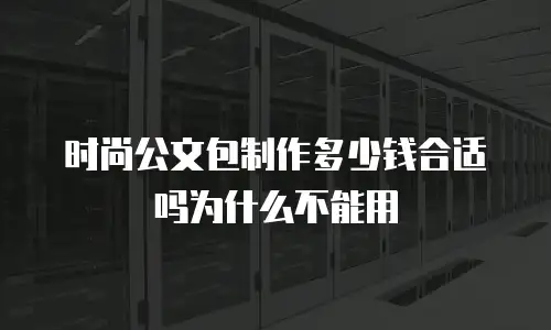 时尚公文包制作多少钱合适吗为什么不能用