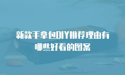 新款手拿包DIY推荐理由有哪些好看的图案